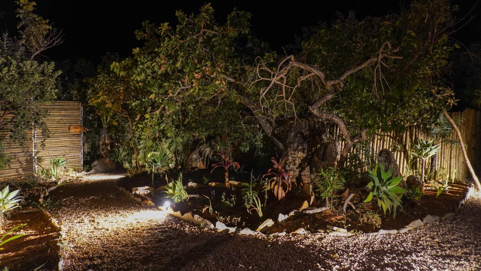 Vila Flor - Chapada Dos Veadeiros Alto Paraíso de Goiás Kültér fotó